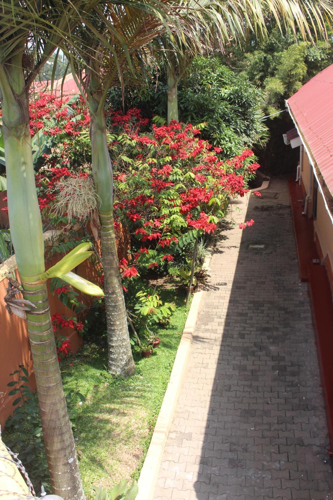 Montane Safaris Hotel Fort Portal Extérieur photo